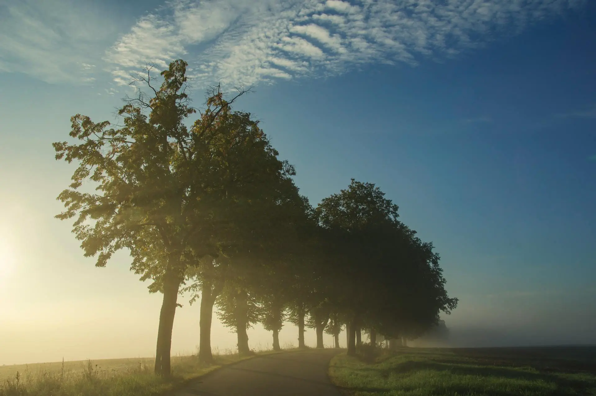 Promocja - letnia noc
